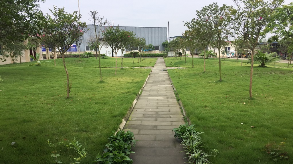 Nongke Green lawn